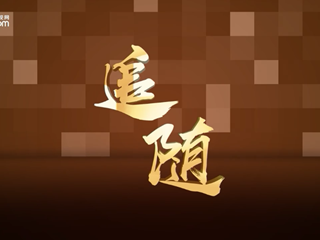 追随