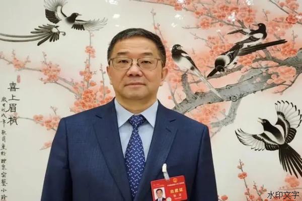 以科技创新推动产业创新 ——访全国人大代表、中国电子信息产业发展研究院院长 张立